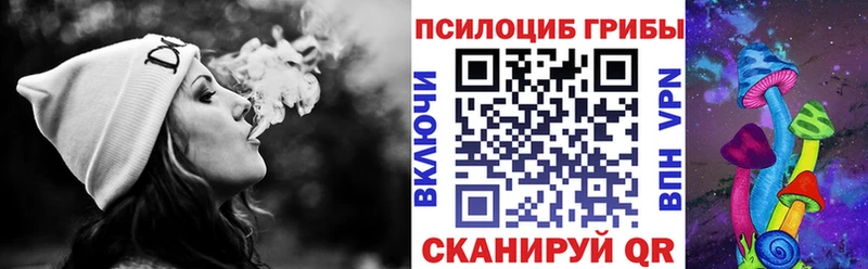 Галлюциногенные грибы Psilocybe  где купить наркоту  Старый Оскол 