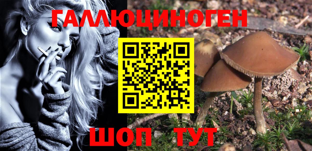 Псилоцибиновые грибы MAGIC MUSHROOMS Старый Оскол